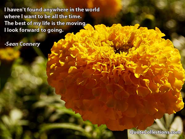 Sean Connery Quotes2